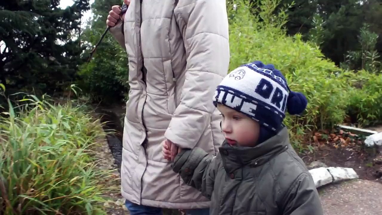 Богданглийский язык 2