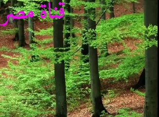 093 تلاوة سورة الضحى للشيخ محمود عبد الوهاب