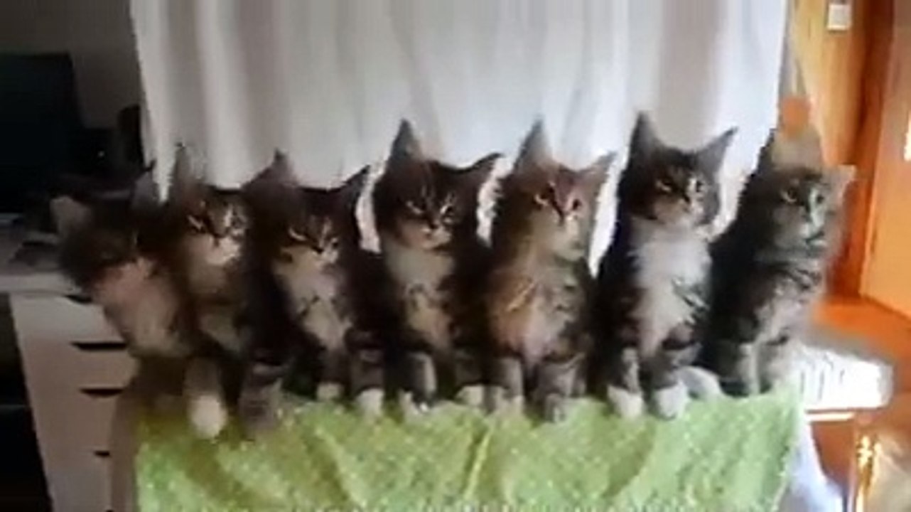 Amazing-Videos-fbdown.net_24