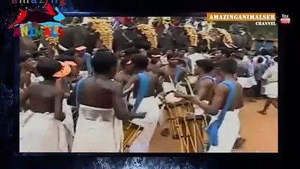 Angry elephant claimed 18 LIves in India