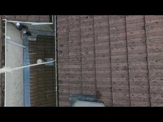 Guy Uses Drone to Rescue Damsel in Distress From Bathroom