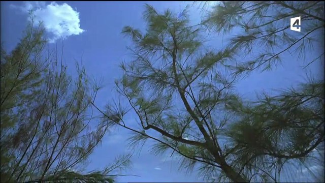 Monstres marins une aventure préhistorique