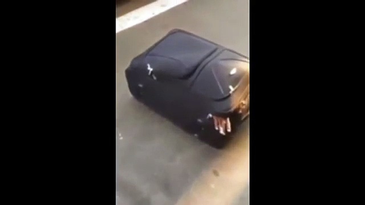 Intentaba cruzar la frontera dentro de una maleta