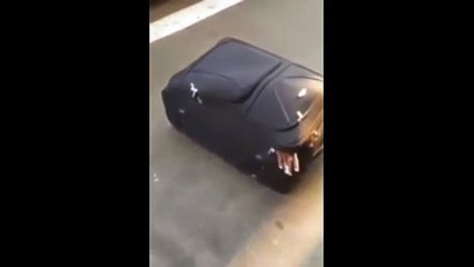 Intentaba cruzar la frontera dentro de una maleta