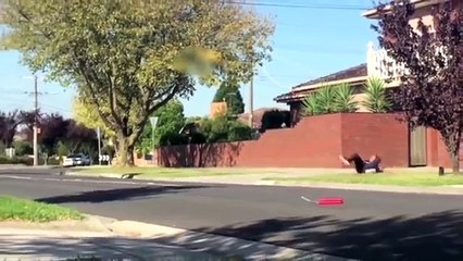 Jalals 2016  Compilation