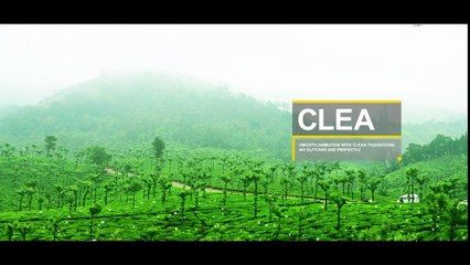 wedding photographers