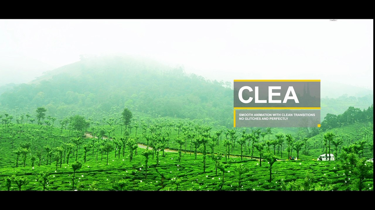 wedding photographers