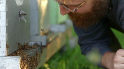 How Honey Can Make Bread More Delicious