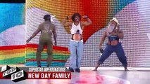 WWE Top 10 Funniest Superstars impersonations HD
