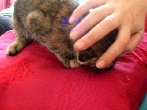 lilith de mauvaise humeur