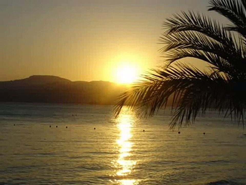 ..:: Jean Francois Maurice - 28° a l' Ombre (Monaco) ::..