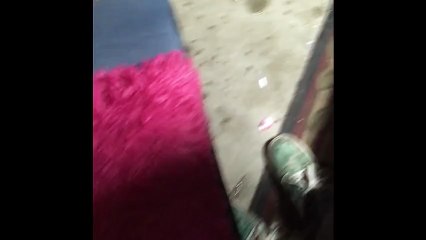 An alien-like creature emerges from within an insect. Somebody please explain!