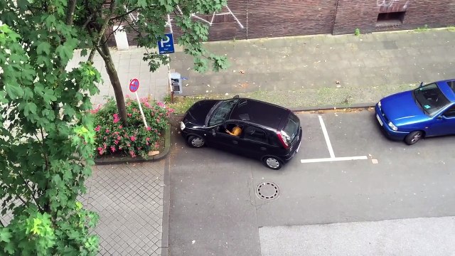 Cette femme essaie de faire un créneau !