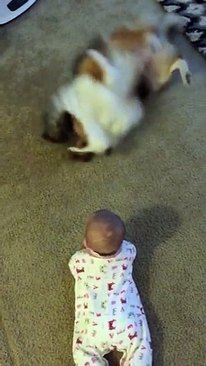 Dog teaches baby how to roll over