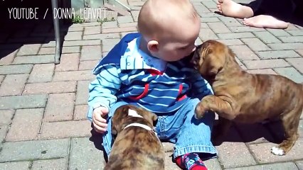 When babies and dogs play together, things get ridiculously cute