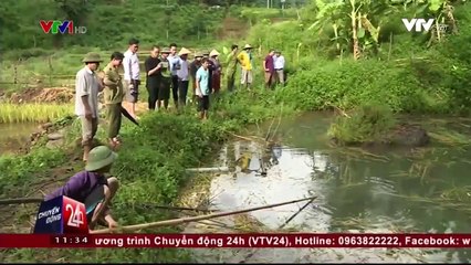 Cá chết bất thường tại Hòa Bình: Sở TNMT đang tiến hành lấy mẫu nước xét nghiệm.