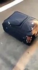 Hallucinant ! Durant un contrôle de routine, ils voient quelque chose bouger dans une valise, quand ils l'ouvrent, c'est