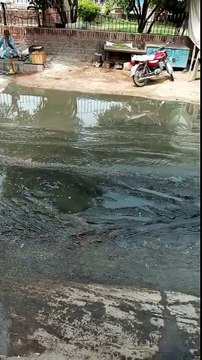 فیصل آباد کے علاقہ سمندری کی حالت دیکھیں۔ استغفراللّہ