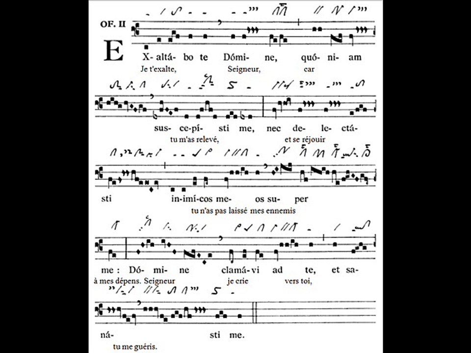 Offertorium Exaltabo te, Dominica XVII TpA (17è TO)