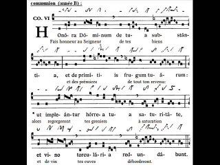 Communio Honora Dominum, Dominica XVII B TpA (17è B TO)