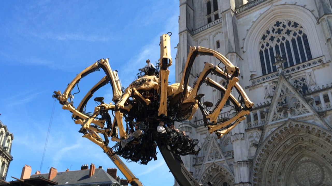 L'araignée s'éveille