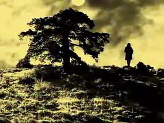 Dut ağacı boyunca _ Ezginin günlüğü