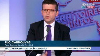 Luc Carvounas tacle Cécile Duflot candidate à l’élection présidentielle