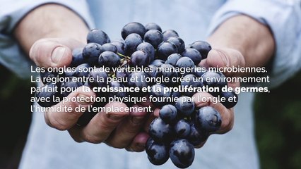 Savez-vous vraiment ce qui se cache sous vos ongles ?