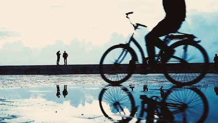 MOGA Festival - Teaser