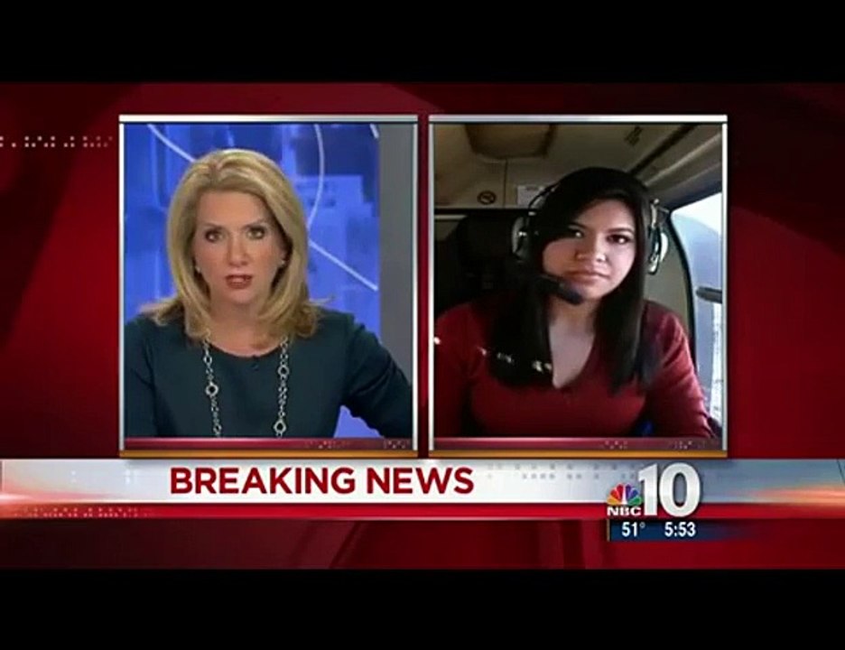 Humping Dogs Photobomb Live News Cast (Uncut Aerial Footage)