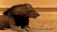 How art made the world - [part4 -2] phụ đề tiếng Việt
