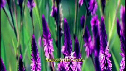 Goiano Reis De Igual Pra Igual