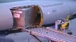 Single LD3 Cargo Container Loading and Unloading Operation - A Guide for Airbus A330 A340