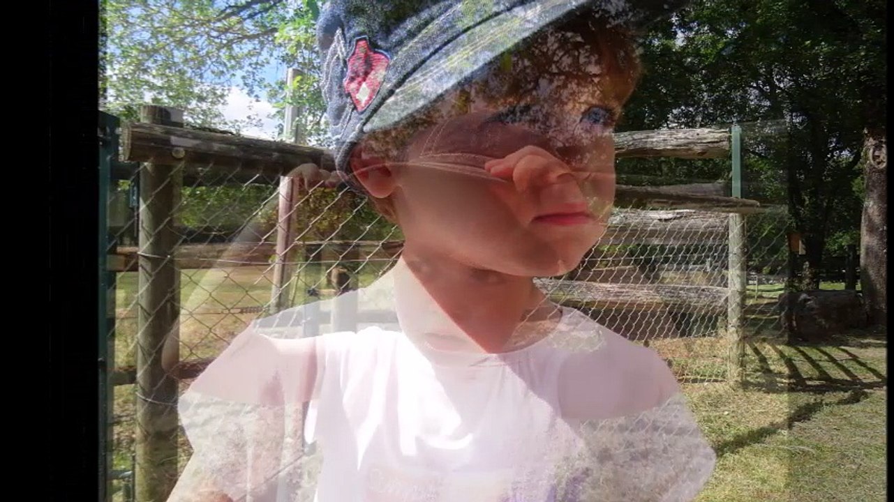 Parc animalier de Gramat 30 juin 2016