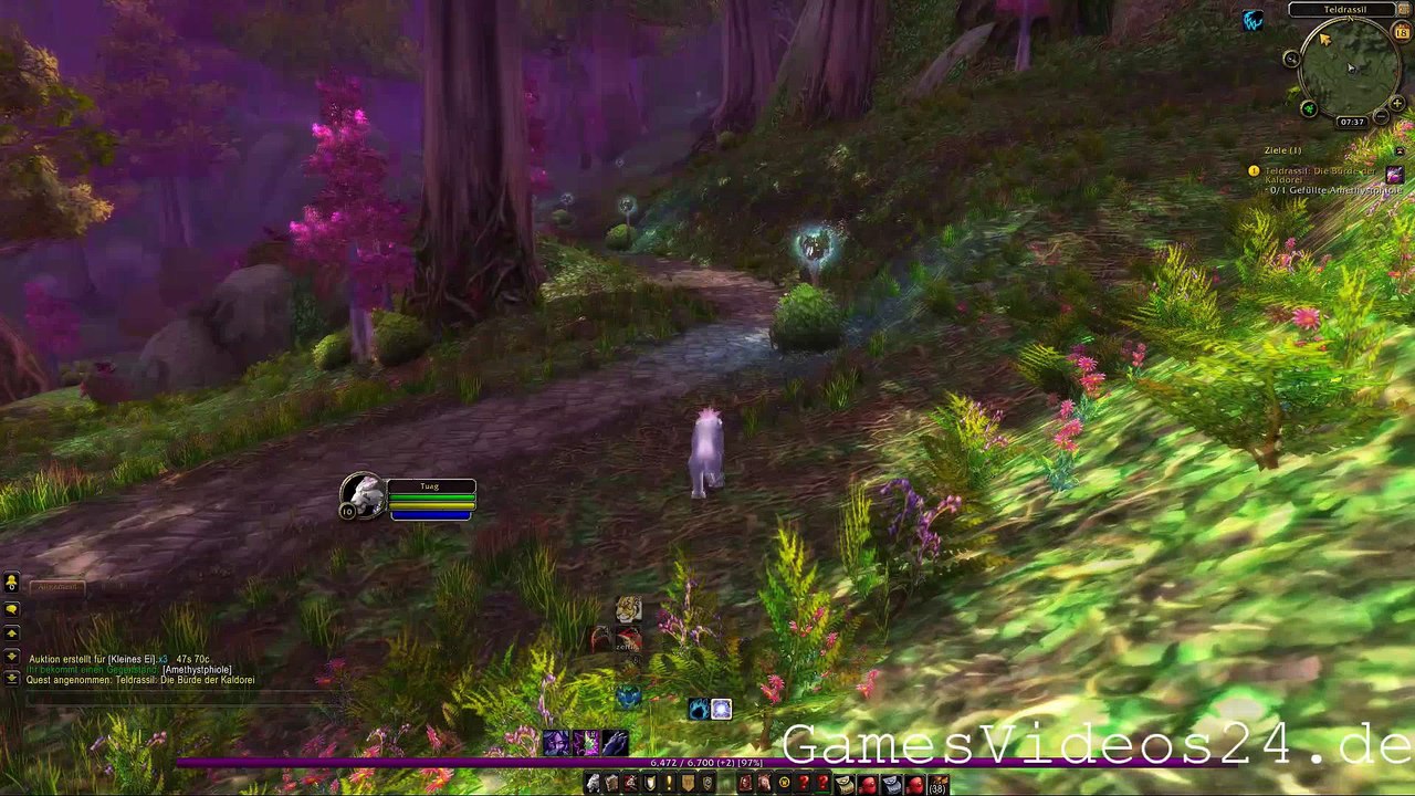 World of Warcraft Quest: Teldrassil: Die Bürde der Kaldorei