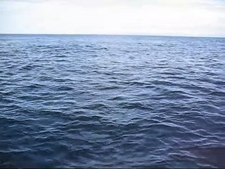 Nosara Fishing Trip Feb 22, 2009