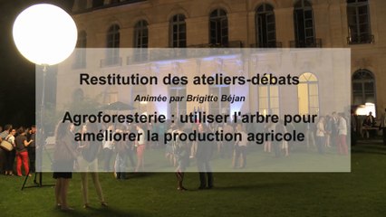 Restitution de l'atelier-débat : agroforesterie