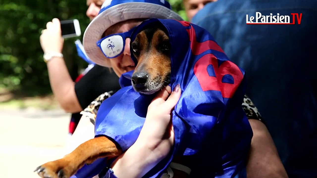 Euro 2016 : les Bleus ovationnés par les supporteurs à Clairefontaine