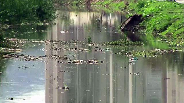 JO 2016 : une bactérie mortelle dans les bassins olympiques