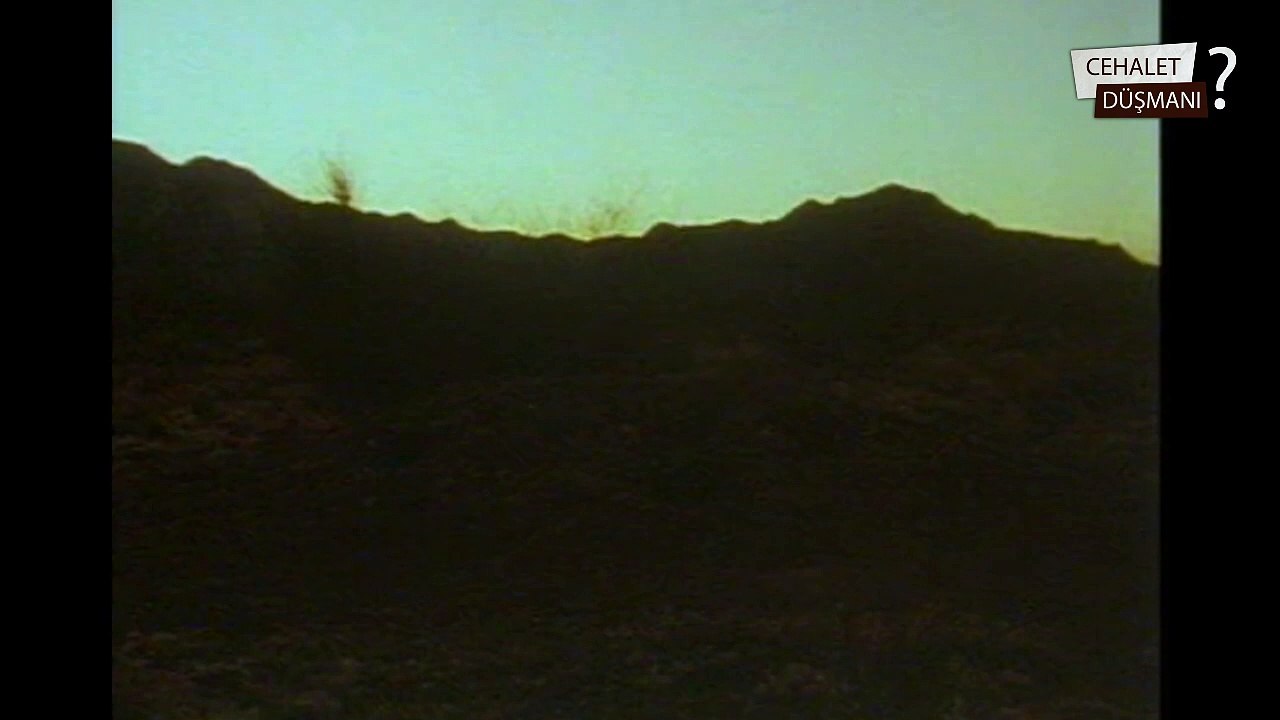 Çöl Tilkisi Nasıl Avlanır - How Desert Foxes Hunt