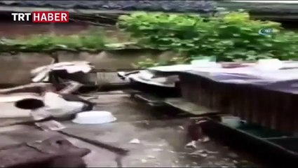 İllüzyon yapmak isterken rezil oldu