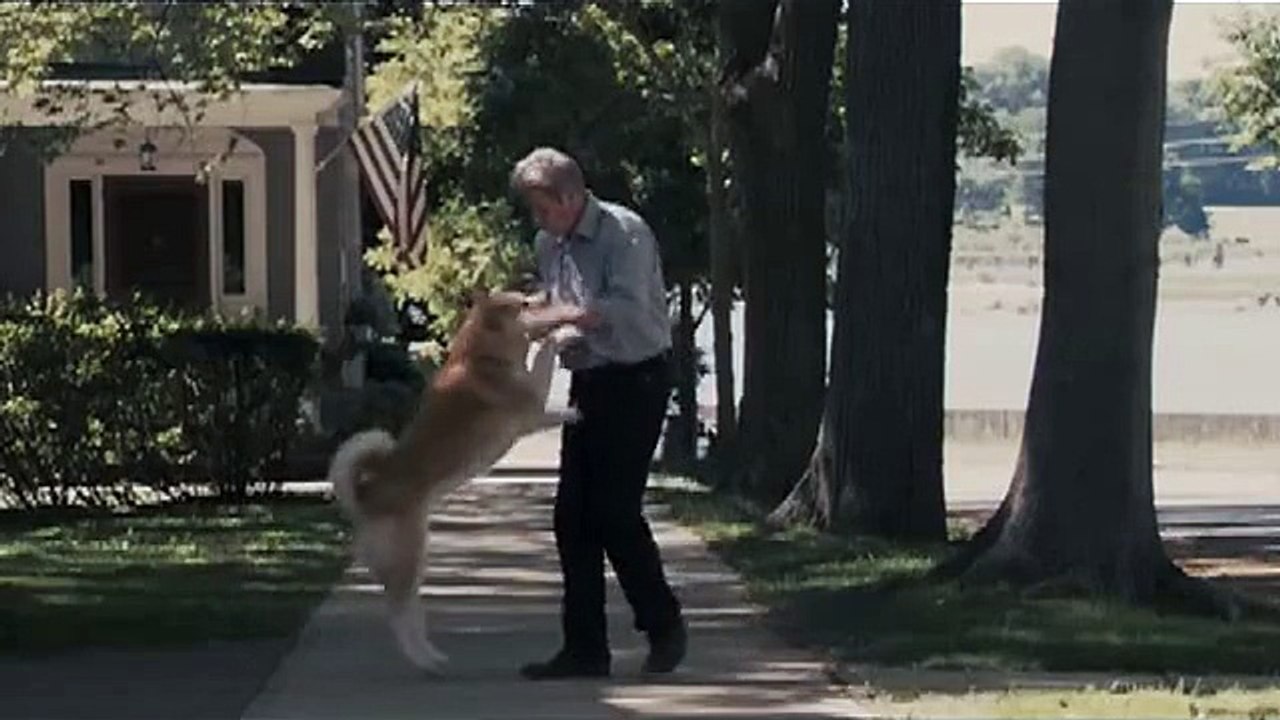 hachi