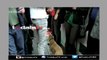 Perros podran viajar en el metro de España-Mas Que Noticias-Video