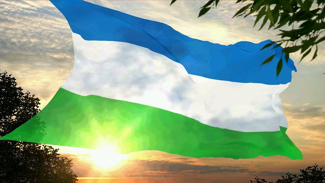 Flag and anthem of Molossia
