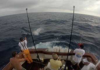 Breathe Easy at the Orange Beach Billfish Classic