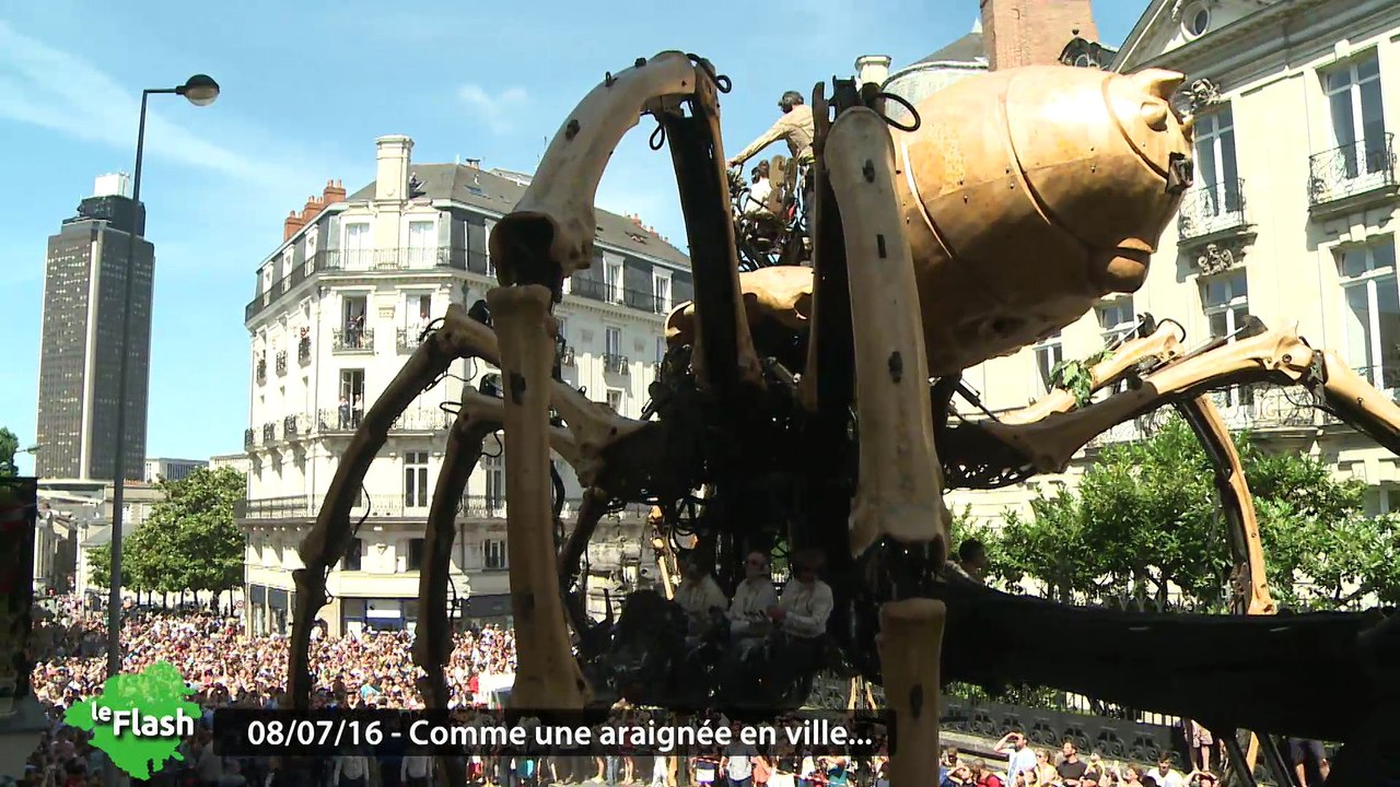 Le Flash du 8 juillet 2016