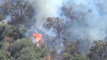 Bodrum'da Makilik Alanda Çıkan Yangın Söndürüldü