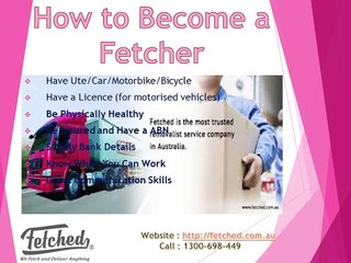 Want To Become a Professional Fetcher