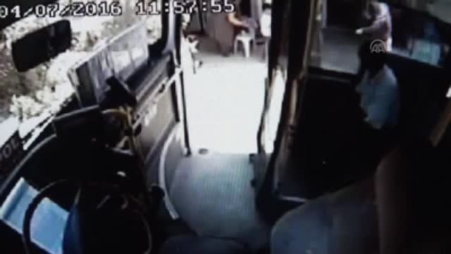 Arıların Saldırısına Uğrayan Kadın Otobüsle Hastaneye Götürüldü