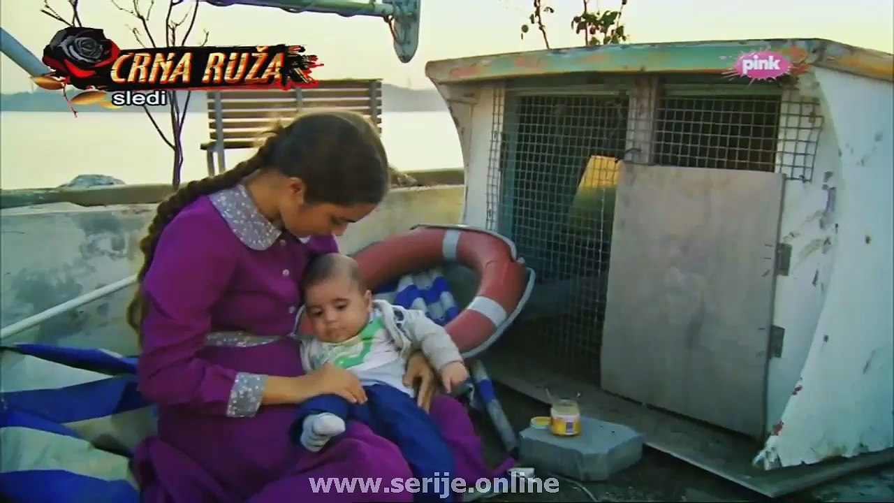 Zehra 289
